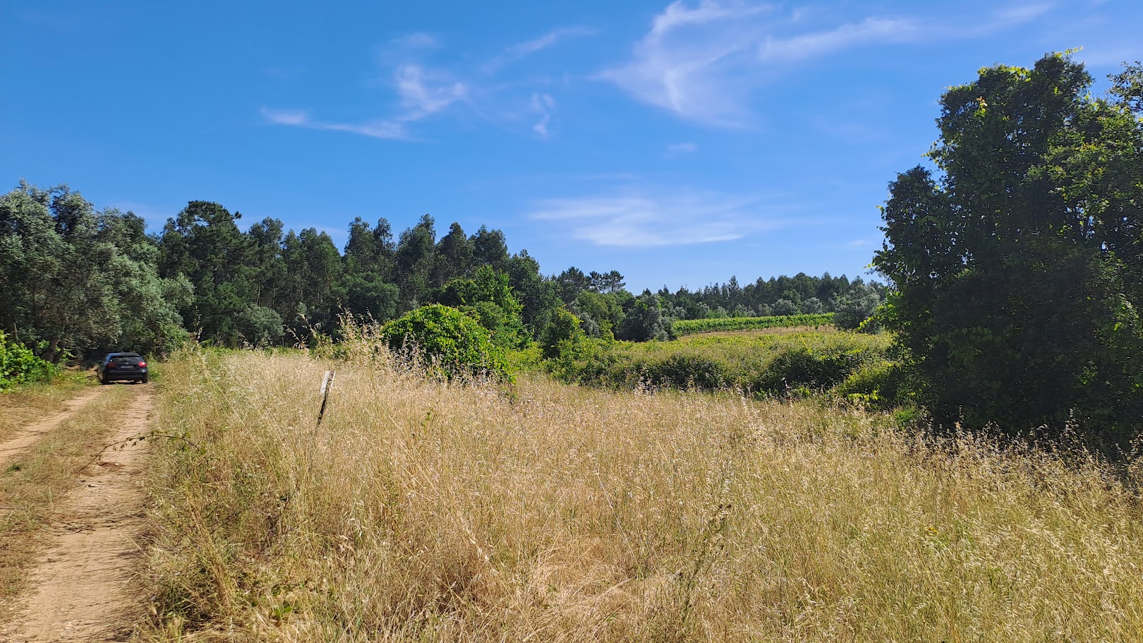 Terreno · 5870 m² · São Lourenço do Bairro/Anadia